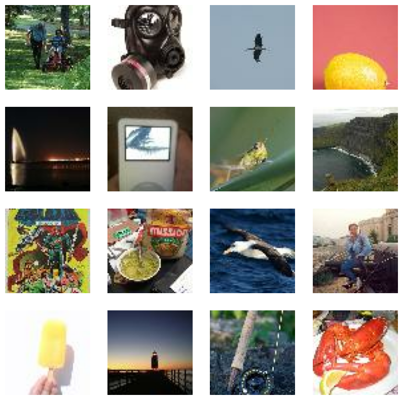 Tiny ImageNet Sample