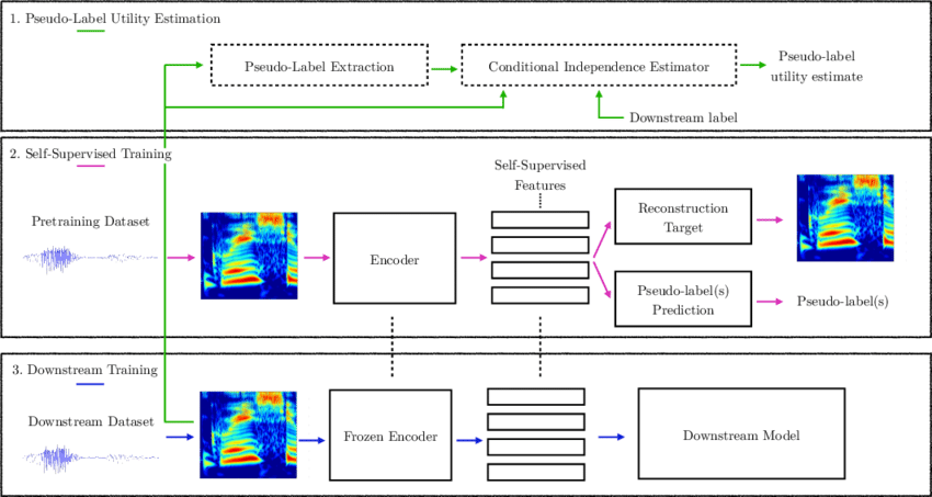 SSL Training Pipeline